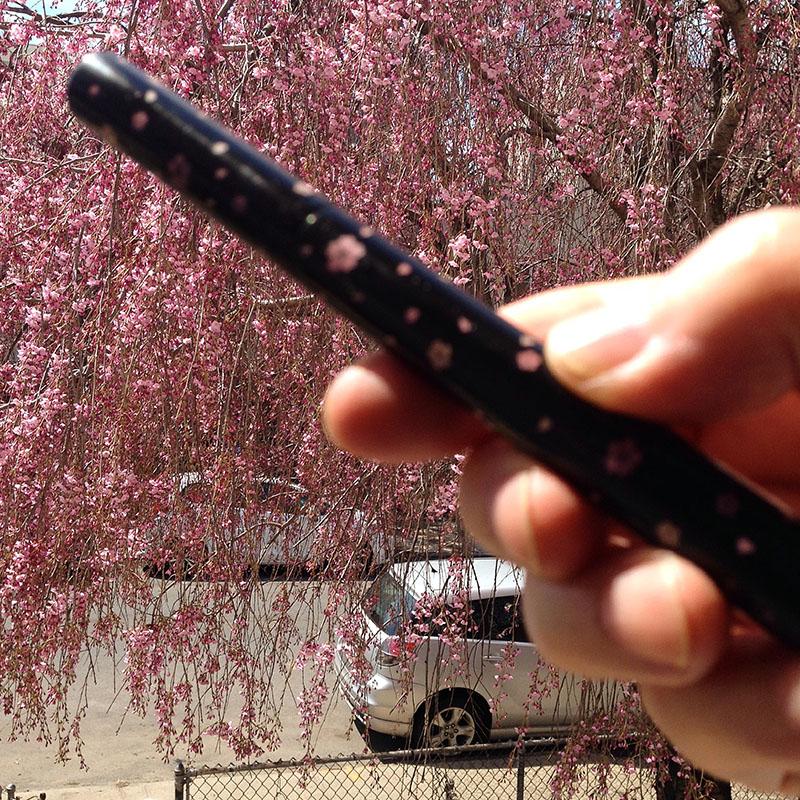 sakura pen